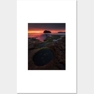 Rockpools Posters and Art